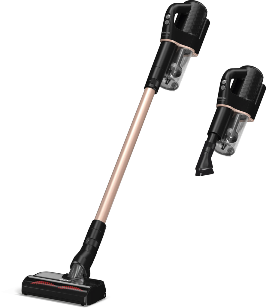 Duoflex HX1 Total Care Akku-Staubsauger